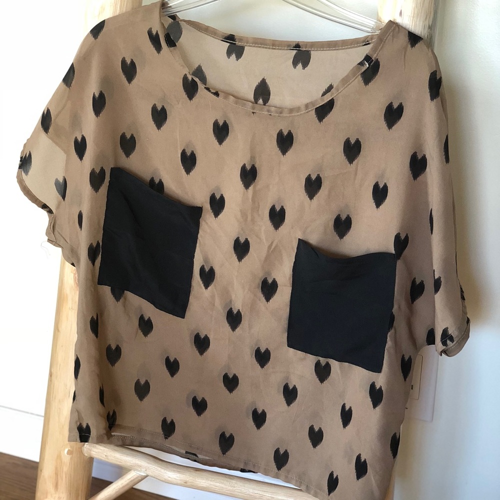 Brown and black sheer top